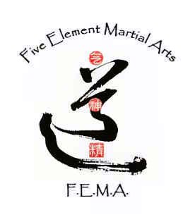 Five Element Martial Arts & Healing Center Logo